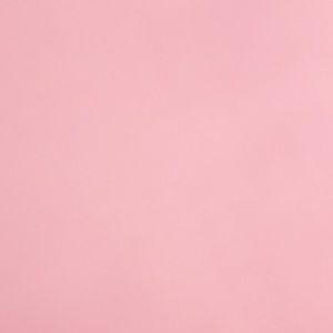 Meet your Posher, Evelin